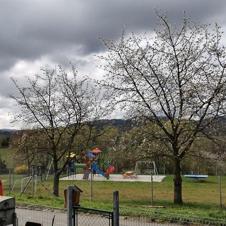 Apartman Sumava U Rybaku Volenice  Екстер'єр фото