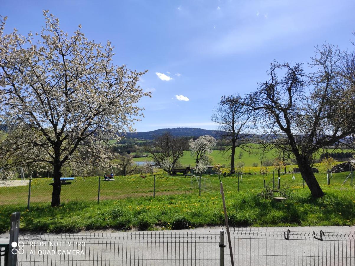 Apartman Sumava U Rybaku Volenice  Екстер'єр фото